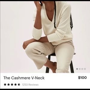 Everlane 100% Cashmere V-Neck sweater